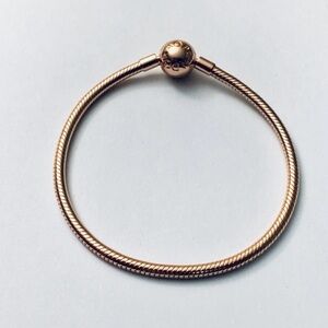 Pandora Snake Chain Bracelet